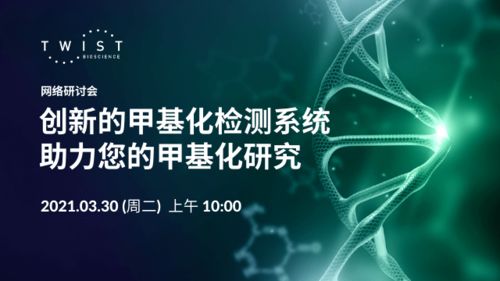创新的甲基化检测系统 精准赋能，引领甲基化研究新篇章