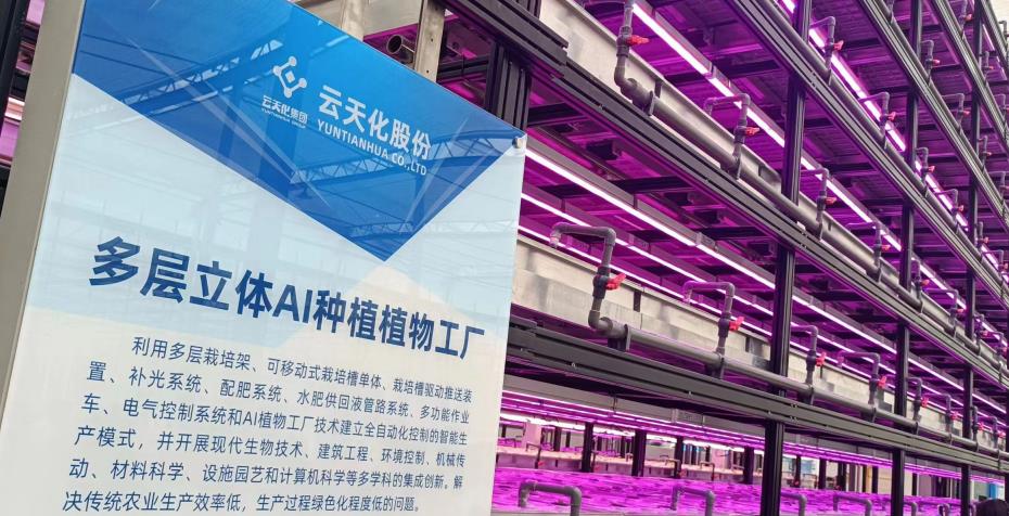 有一种叫云南的生活 | “遇见云花·邂逅彩虹”网络大V走进云天化